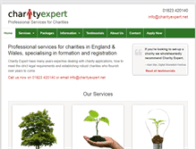 Tablet Screenshot of charityexpert.net